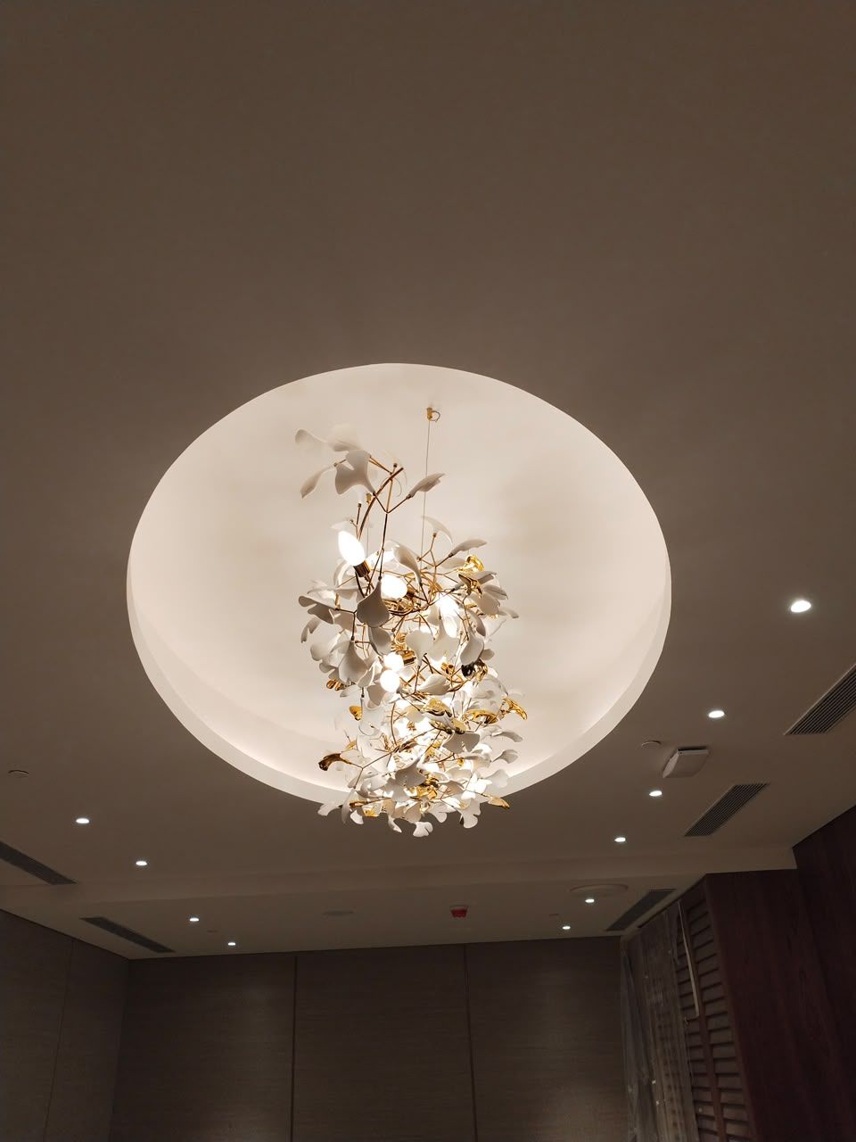 Chandelier and downlights